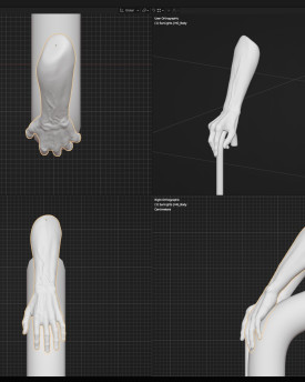 3D model rukou