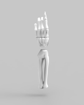 Modello 3D delle mani dello scheletro per stampa 3D