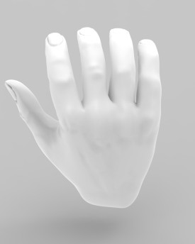 Modello 3D di mani con palmi aperti per stampa 3D